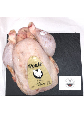 Poule pac